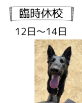 臨時休校のお知らせ